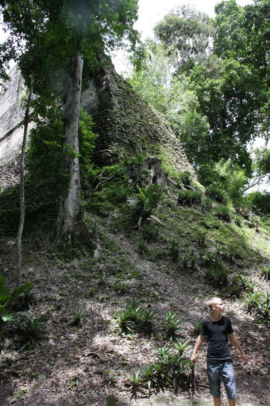 Pyramide fra Uaxachtun tempelbyen ca.15km øst for vores fundne tempelby.jpg